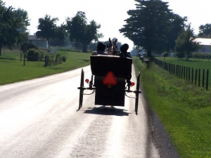 Top Ten Amish Spring Break Activities