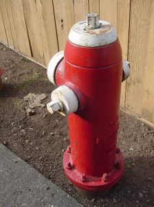 A dog joke with a fire hydrant