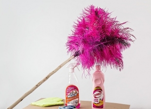 housework feather duster