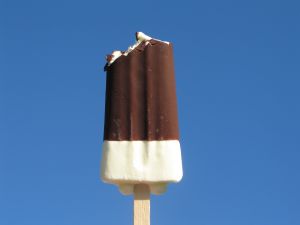 a picture of ice cream
