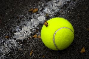 picture of a tennis ball