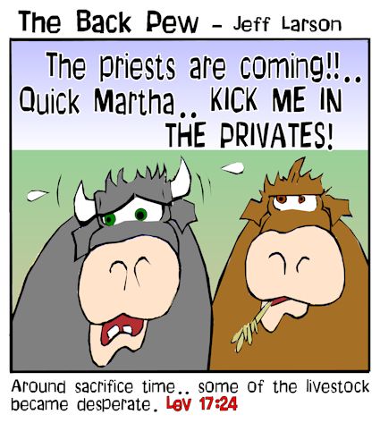Bull Privates
