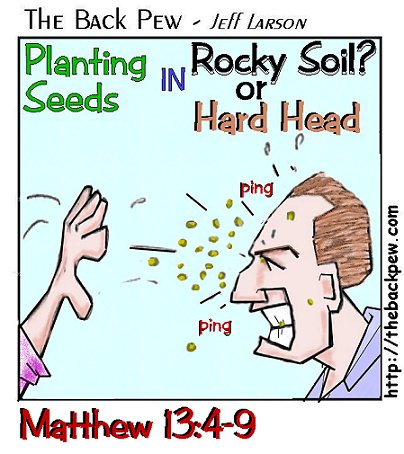 Planting Seeds on a Rocky Head