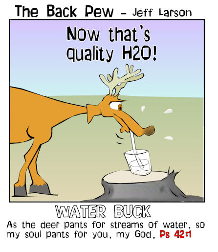 A Deer Pants for Water