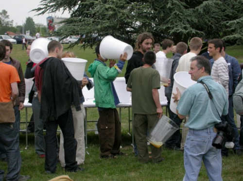 Funny Pictures of Picnic With Big Cups