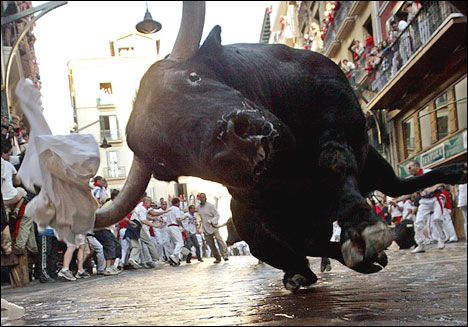 Funny Pictures of Pamplona Bull Run
