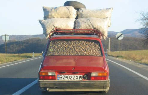 Funny Pictures of Car Loaded with Nuts