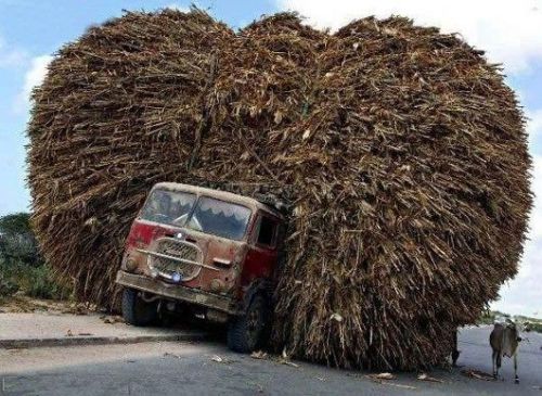 Funny Pictures of Street Sweeper Overloaded Truck