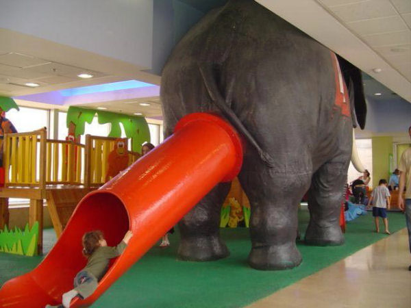 Picture of funny elephant slide