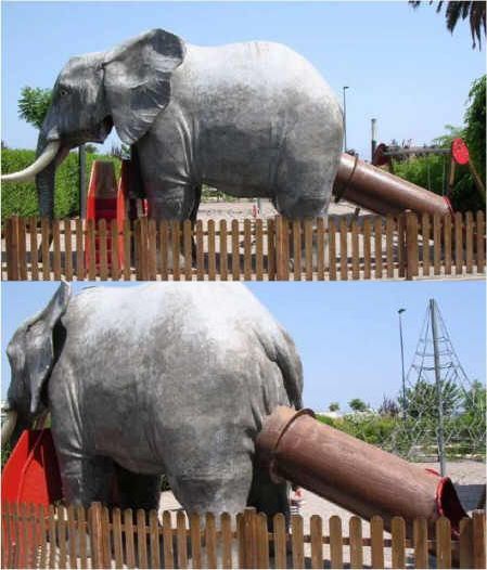 Funny Pictures of Elephant Slide