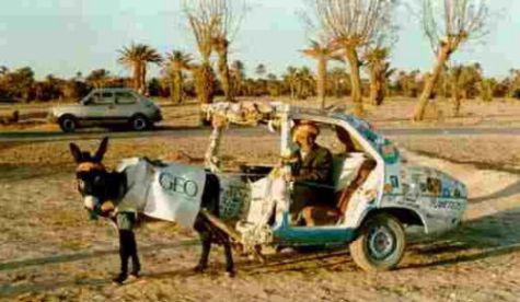Funny Pictures of Geo Storm Model - Donkey Pulling Car