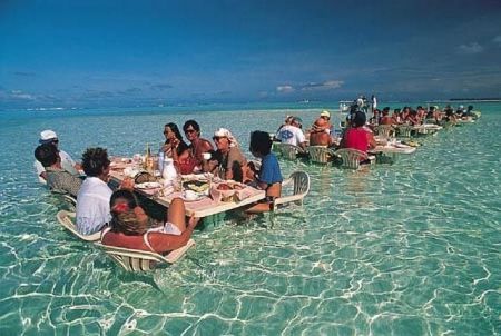 Funny Pictures of Tables in Surf