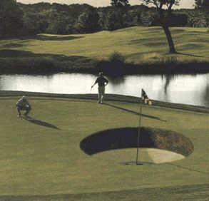 Funny Pictures of Huge Golf Hole Cup.