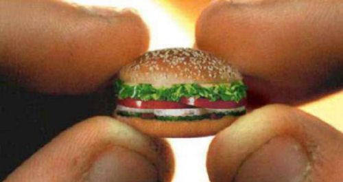 Funny Pictures of Tiny Hamburger