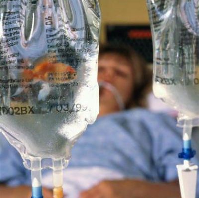 Funny Pictures of Goldfish In IV Bag