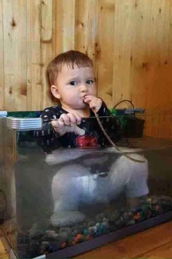 Funny Picture of kid in aquarium