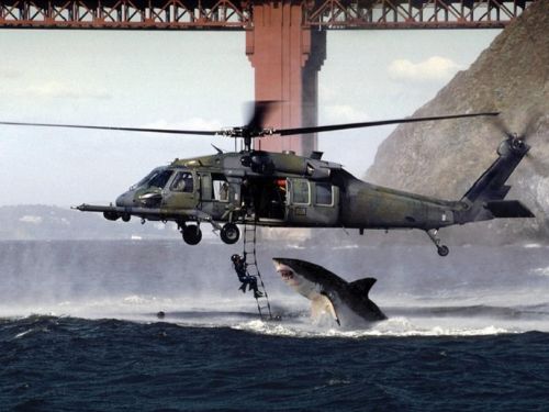 Navy Seal Elite Shark Squadron