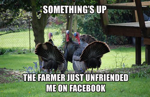 turkey facebook unfriended
