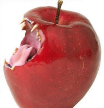 Funny Cat Pictures -  Teeth Apple Bite