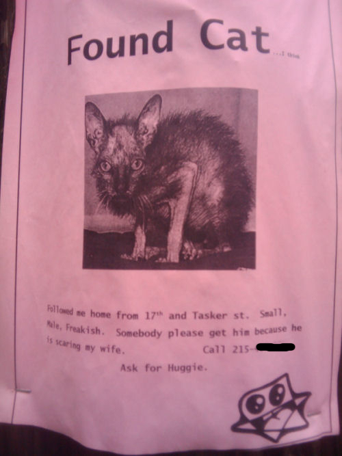 Funny Cat Found Sign