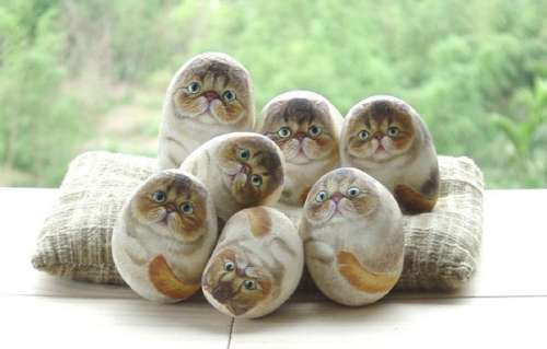 Funny Cat Pictures -  Hair Balls