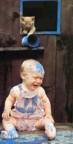 Funny Cat Pictures -  / Kitten Dumping Paint on Baby