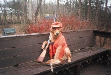 Funny Pictures of Hunting Dog with Shot Gun and Kill
