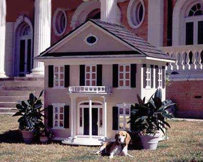 Dog House