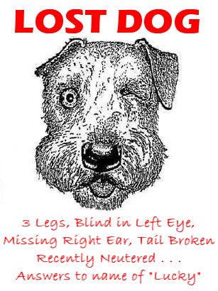 Funny Jokes Picture of Lost Dog Poster