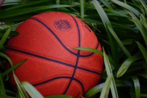 ball basket