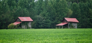 barns