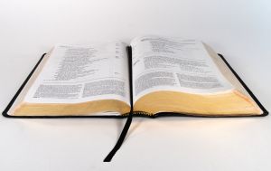 bible open