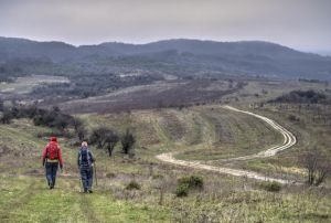 couple walking