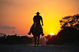 cowboy silhouette