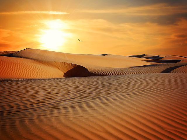 desert sand