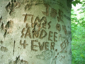 carved tree