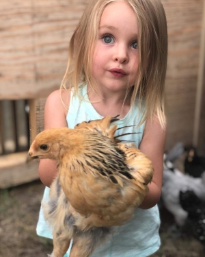 a chicken named June