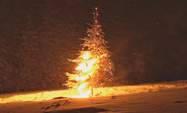 christmas tree burning