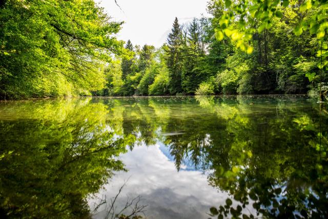 farmer pond