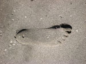 picture of a footprint