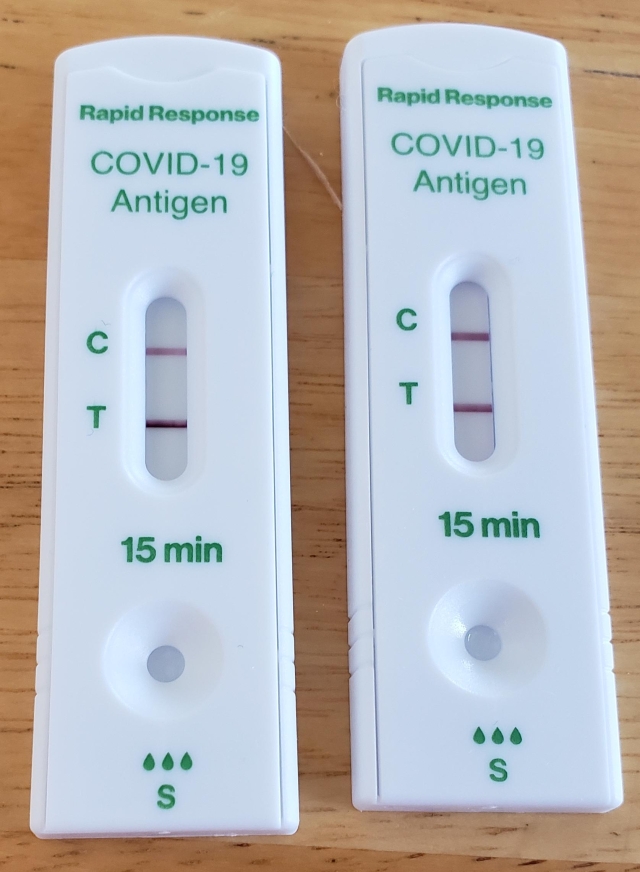 tim and susan covid rapid tests