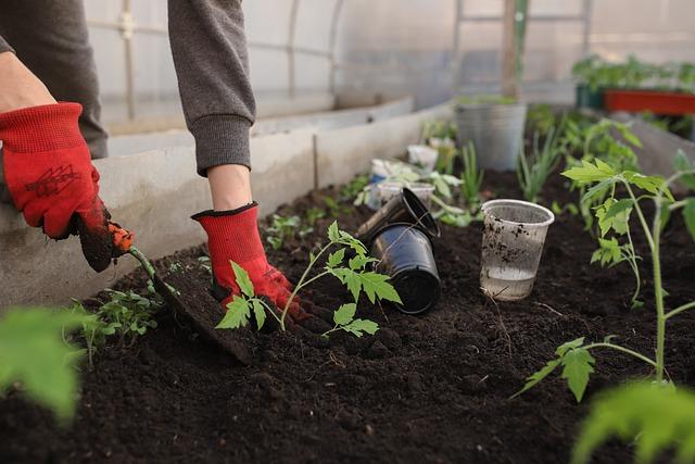 Gardening God's Way