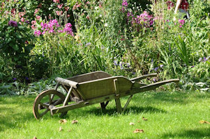 garden wheelbarrow