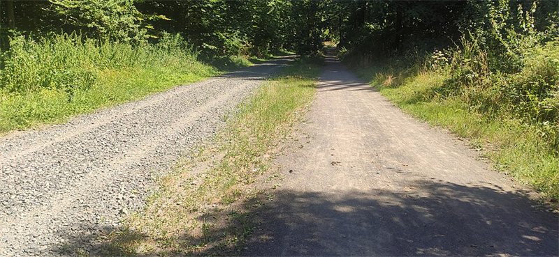 A gravel road disappearing into the trees.