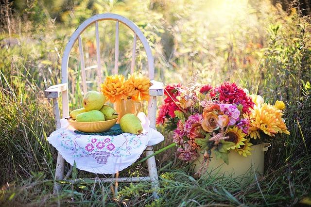 harvest chair