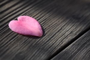 Valentine's Day