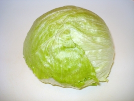 lettuce iceberg