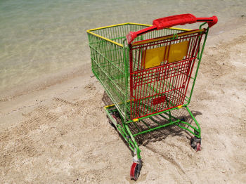 lostshoppingcart