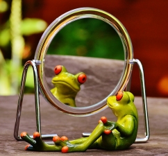 mirror frog