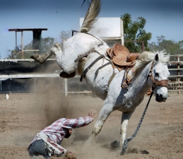 Marriage and the New Year can be like a Rodeo